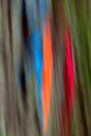 Forestry Ribbons, Roberts Creek, B.C.